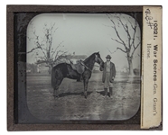 Magic Lantern Slide of Ulysses S. Grant's Civil War Horse, ''Jeff Davis''